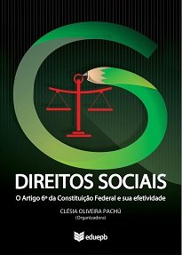 O livro Direitos Sociais, demonstra, de maneira objetiva e clara a necessidade de se efetivar as Políticas Públicas, gerenciadas pelo Estado.