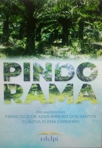 Esta publicação é uma súmula dos principais estudos que os pesquisadores da Rede Pindorama e seus associados produziram ao longo do último período.