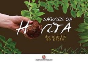 A publicação Sabores Da Horta: Do Plantio Ao Prato, publicado pela Codeagro, ensina a cultivar em pequenos espaços e preparar deliciosos pratos