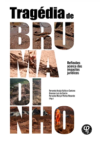 Este livro, a partir da tragédia de Brumadinho possibilita reflexões únicas a respeito de profissionalismo, ética, respeito, responsabilidade e cidadania.