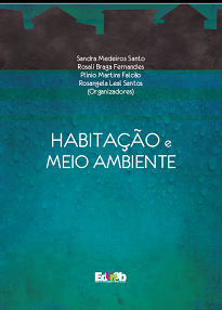 O livro apresenta uma série de trabalhos desenvolvidos na temática da lógica do ambiente urbano, tendo como foco a cidade de Feira de Santana - Ba.