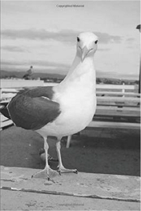 Como Descolonizar Uma Tese Em Antropologia No Sentido Estrito Do Termo foi construída com a utilização de etnografia, consulta em arquivos e entrevistas.