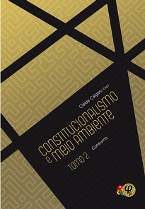 O tema do livro se baseia nas discussões entre constitucionalismo, meio ambiente e consumo, sendo desenvolvida várias temáticas transversais aos mesmos.