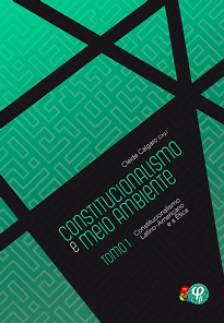 O tema do livro se baseia nas discussões entre constitucionalismo latino-americano, ética e meio ambiente, trazendo várias temáticas transversais aos mesmos