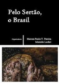 Pelo Sertão, O Brasil demonstra o quanto ganhamos na compreensão das obras literárias quando somos capazes de retirá-las de confinamentos disciplinares.