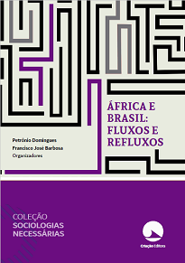 Os treze capítulos reunidos em África E Brasil: Fluxos E Refluxos foram produzidos por especialistas de diferentes áreas e formações acadêmicas.