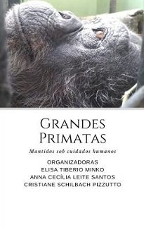 A semelhança física e comportamental com o ser humano desperta um grande interesse e curiosidade sobre os grandes primatas